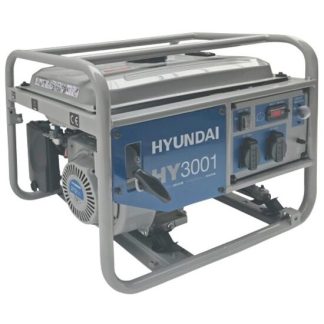 Generator de curent monofazic Hyundai HY3001