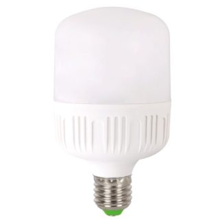 Bec LED 30W E27 6500K