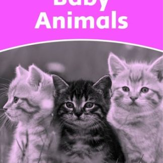 Dolphin Readers Starter Level Baby Animals Activity Book