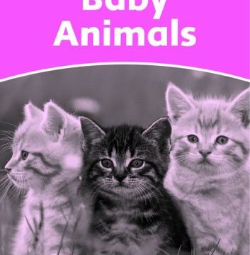 Dolphin Readers Starter Level Baby Animals Activity Book