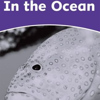 Dolphin Readers Level 4 In the Ocean Activity Book