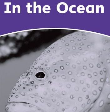 Dolphin Readers Level 4 In the Ocean Activity Book