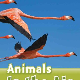 ORD 3: Animals in the Air