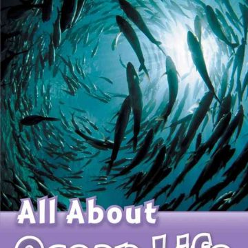 ORD 4: All About Ocean Life