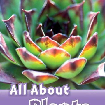 ORD 4: All About Plants