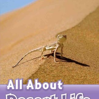 ORD 4: All About Desert Life