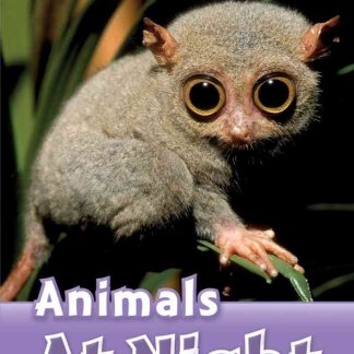 ORD 4: Animals at Night