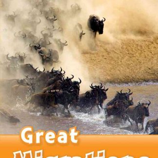 ORD 5: Great Migrations