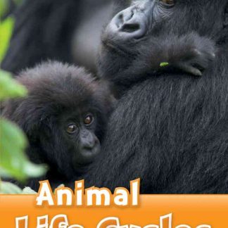 ORD 5: Animal Life Cycles