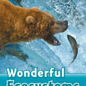 ORD 6: Wonderful Ecosystems