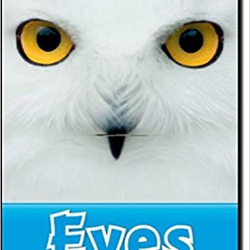 ORD 1: Eyes