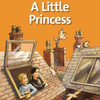 Family and Friends Readers 4 A Little Princess