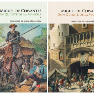 Set Don Quijote de la Mancha (2 volume)