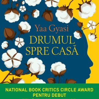 Drumul spre casa