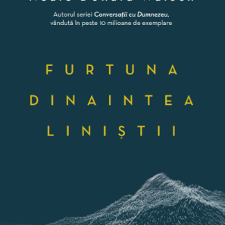 Furtuna dinaintea liniștii