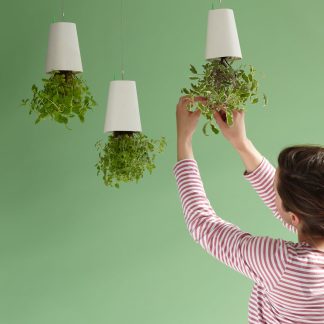 Ghiveci cu susul in jos