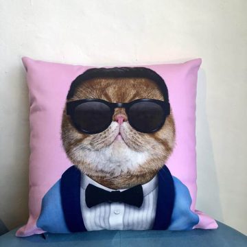 Husa perna Pisic PSY
