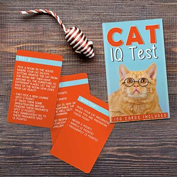 IQ Test pentru pisici