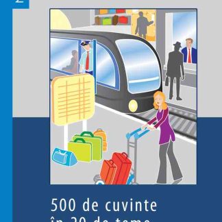 Minidicţionar vizual francez-român