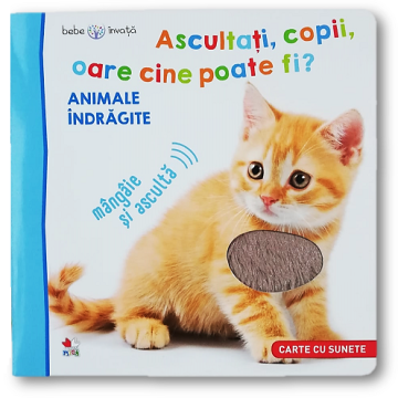 Bebe învață. Ascultați, copii, oare cine poate fi? Animale îndrăgite