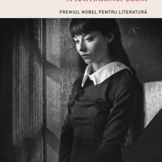 Onoarea pierduta a Katharinei Blum