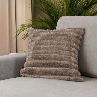 Perna Plusata Pretty Tilia Tilia 17 Maro