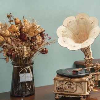 Puzzle 3D Gramofon Clasic Bifunctional manual si automat Lemn Robotime