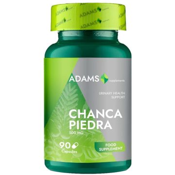 Chanca Piedra 500mg 90cps