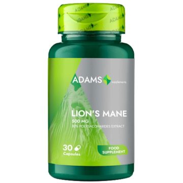 Lion's Mane 500mg 30cps