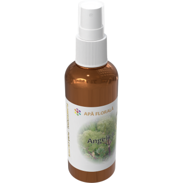 Apa Florala de Angelica 100ml
