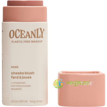 Fard de Obraz Stick Rose 8.5g