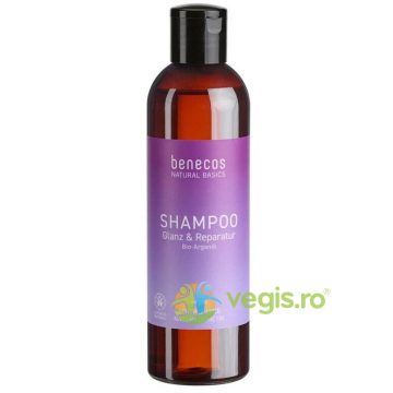 Sampon pentru Reparare si Stralucire cu Ulei de Argan 250ml