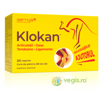Klokan (Articulatii, Oase, Tendoane, Ligamente) 30cps