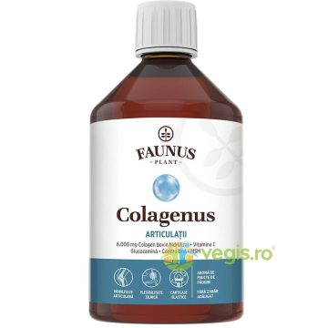 Colagen Lichid pentru Articulatii si Mobilitate Colagenus Articulatii 500ml