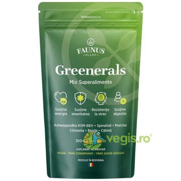 Greenerals Pudra Superaliment pentru Energie si Vitalitate 300g