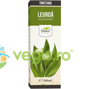 Tinctura de Leurda 200ml