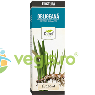 Tinctura de Obligeana 200ml