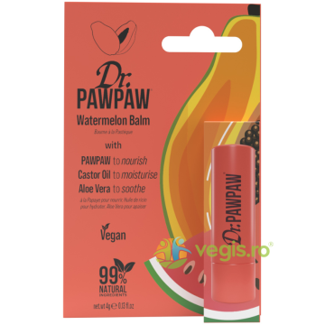 Balsam Stick pentru Buze cu Ulei de Ricin si Aloe Vera cu Aroma de Pepene Verde si Pawpaw 4g