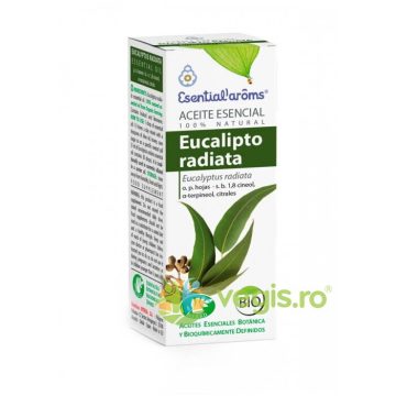 Ulei Esential de Eucaliptus Radiata Bio 10ml
