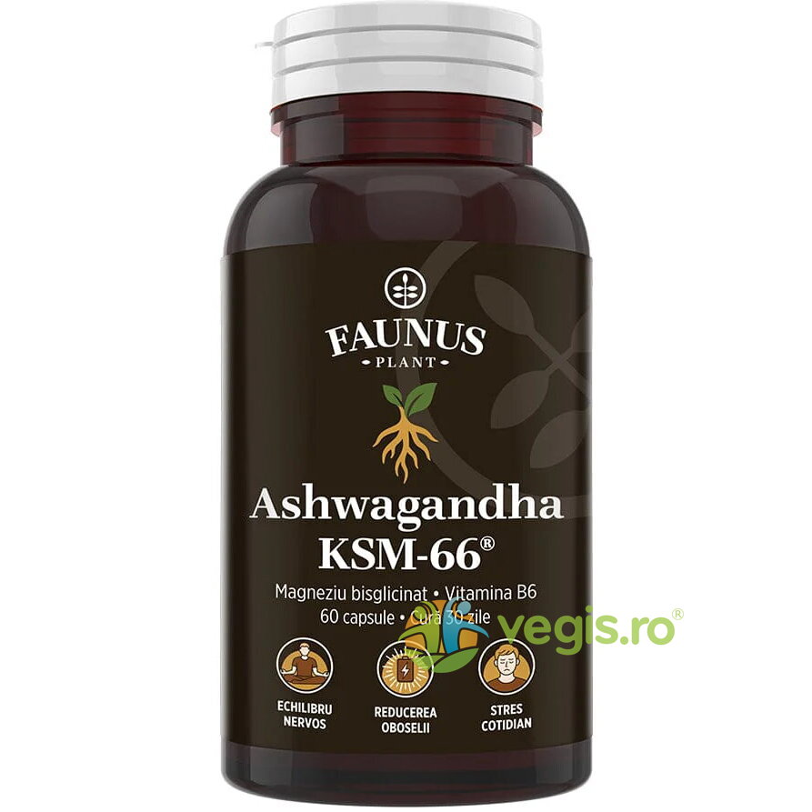 Ashwagandha KSM-66 60cps