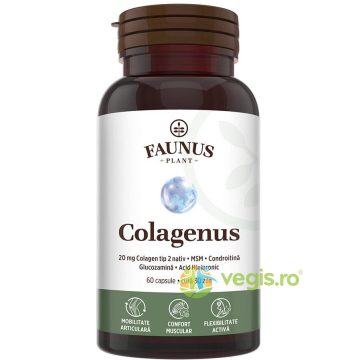 Colagen pentru Articulatii Colagenus 60cps