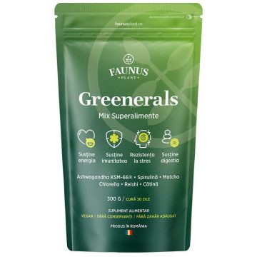 Greenerals Pudra Superaliment pentru Energie si Vitalitate 300g