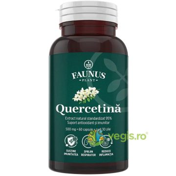 Quercetina 500mg 60cps
