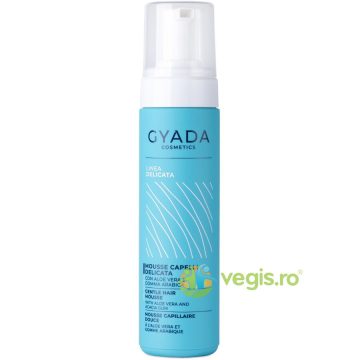 Spuma de Par pentru Fixare cu Aloe Vera 200ml