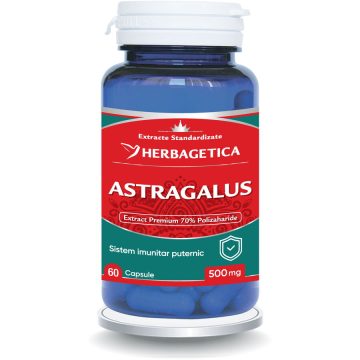 Astragalus 500mg cu 70% Polizaharide 60cps