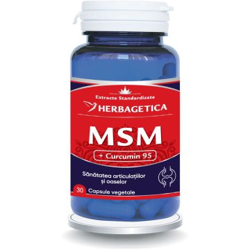 MSM + Curcumin 95 30cps