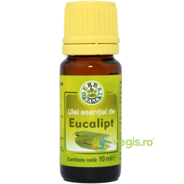 Ulei Esential De Eucalipt 10ml