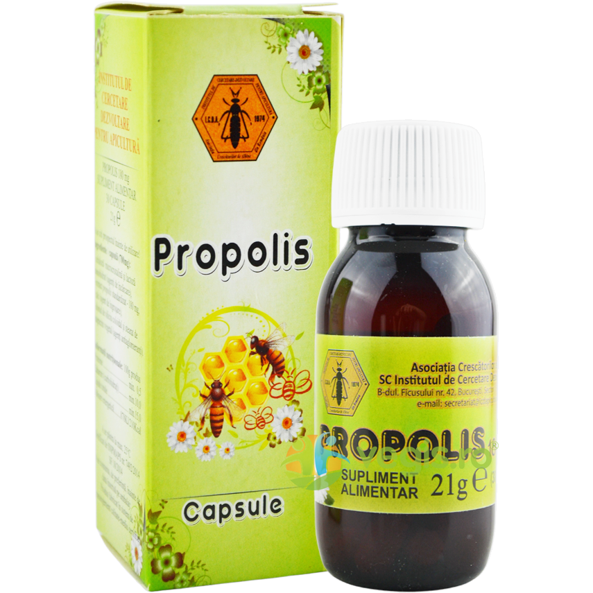 Propolis 30cps