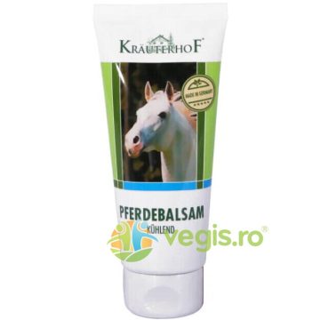 Gel Puterea Calului (Tub) 100ml