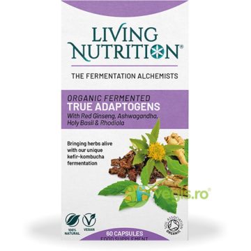 Fermented True Adaptogens 560mg cu Ginseng, Ashwagandha, Busuioc Sfant si Rhodiola 60cps